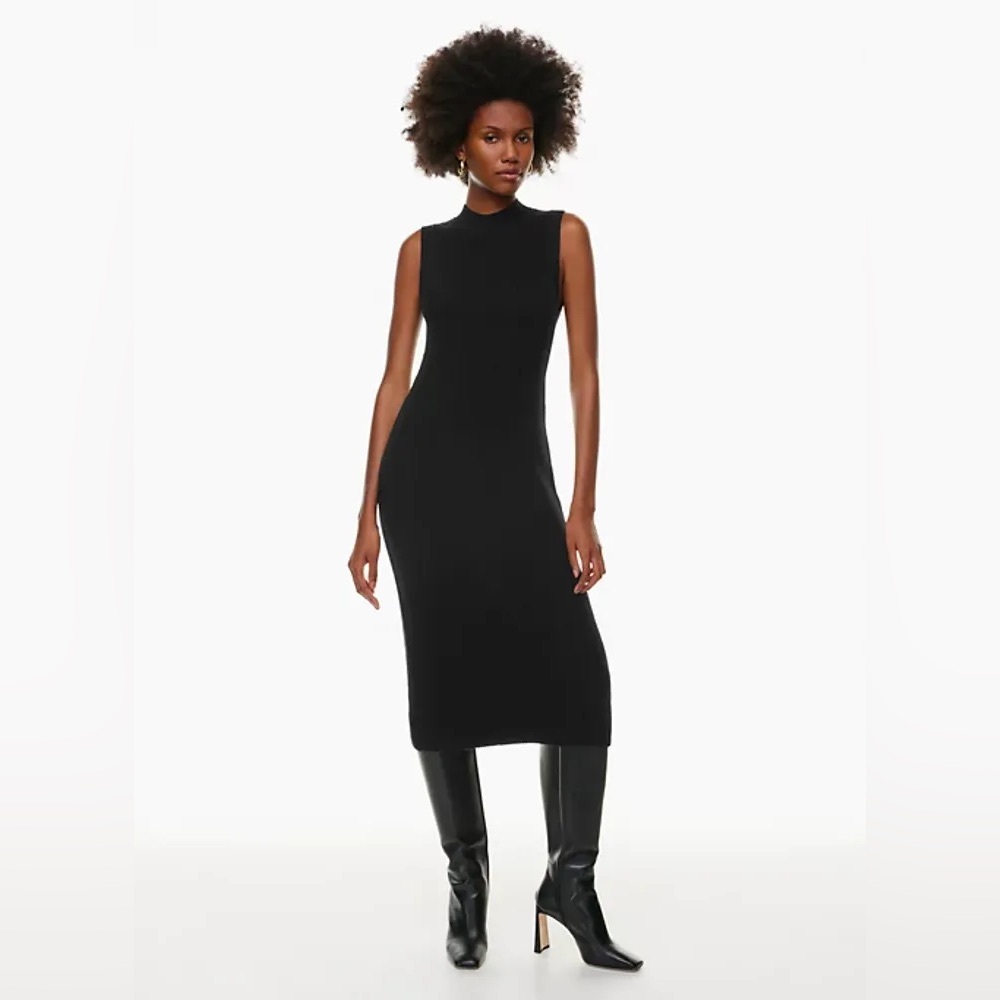 Aritzia Babaton AESTHETICA Dress